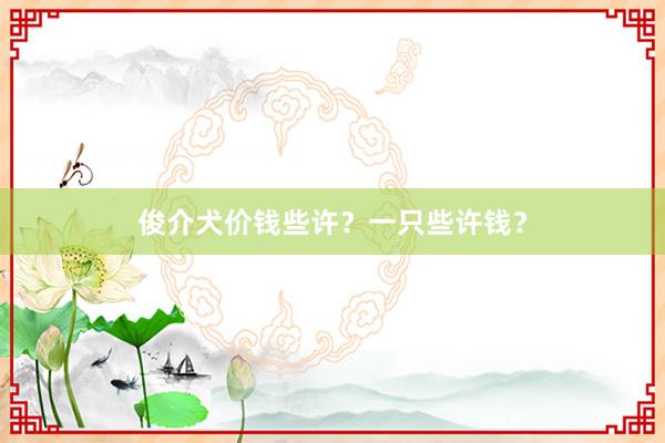 俊介犬价钱些许？一只些许钱？