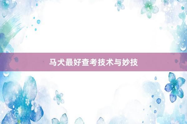 马犬最好查考技术与妙技