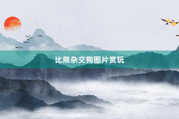 比熊杂交狗图片赏玩